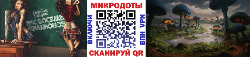 Псилоцибиновые грибы Cubensis  Купить  Волгоград 